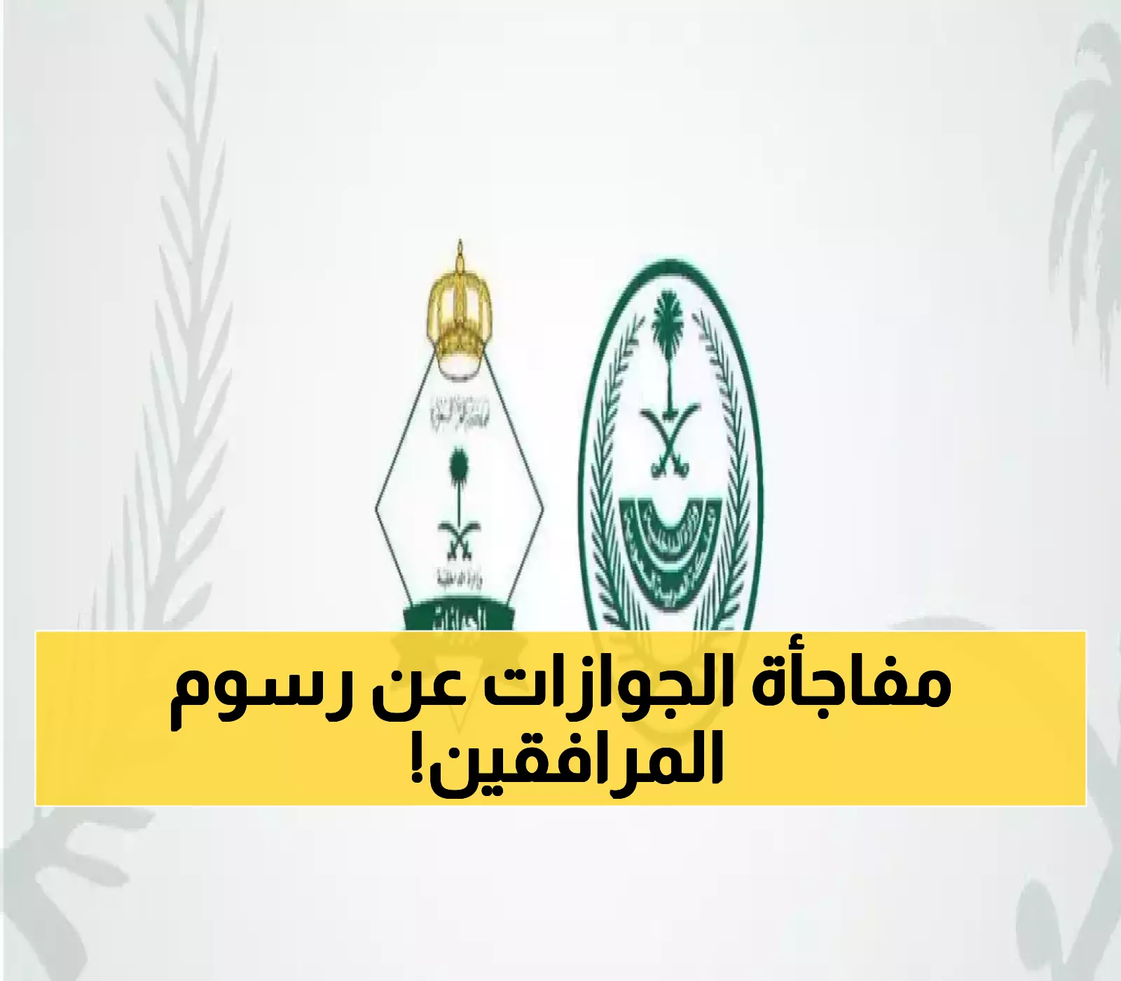 حقيقة تخفيض رسوم المرافقين