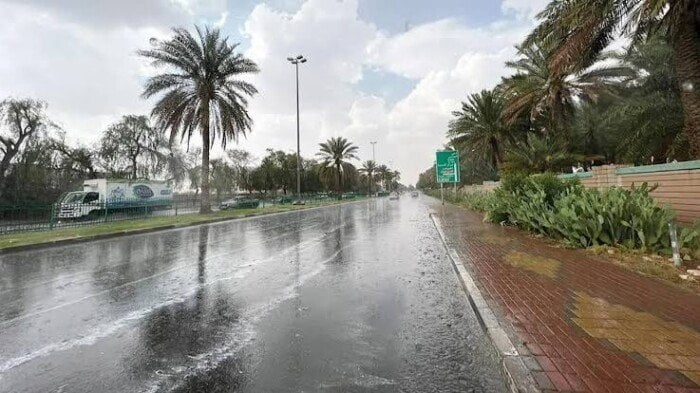 الأرصاد الجوية تعلن حالة الطقس اليوم الجمعة فى مصر.. أجواء خريفية وميل للبرودة ليلًا