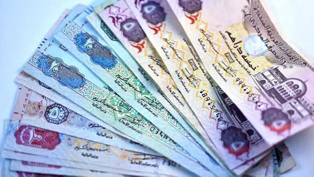 استقرار سعر الدرهم الإماراتي أمام الجنيه المصري اليوم الثلاثاء 18 نوفمبر 2025