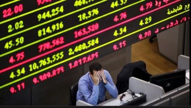 أسهم زهراء المعادي تتصدر قيم التداول في البورصة المصرية خلال الأسبوع