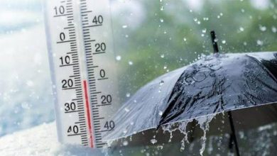 الأرصاد في مصر تحذر من شبورة مائية وأمطار متفرقة على بعض المناطق اليوم الأحد