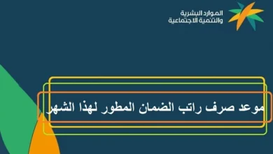 موعد صرف دفعة ديسمبر للضمان الاجتماعي