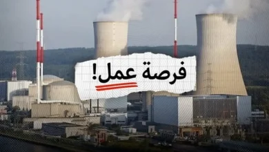 مشروع الضبعة النووي