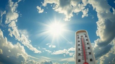 حالة الطقس اليوم الجمعة في مصر 21 نوفمبر 2025