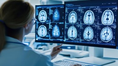 علماء يطورون أول نموذج كامل لدماغ بشرى اصطناعى