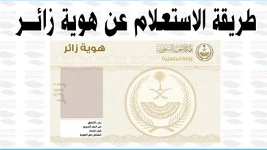 الاستعلام عن هوية زائر للسعودية
