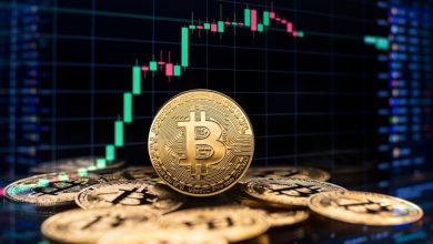 بيتكوين تستقر فوق 91 ألف دولار وسط رهانات قوية على خفض الفائدة الأمريكية
