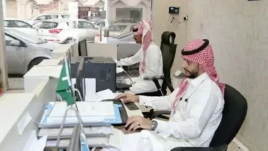 فرص التوظيف الحكومي في السعودية