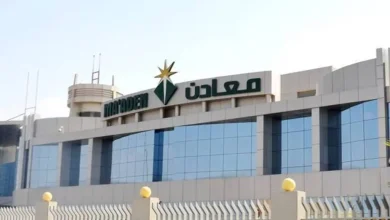 سهم معادن