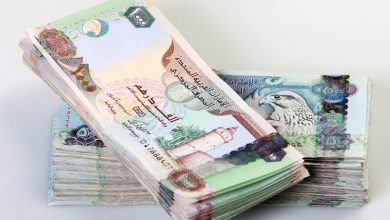 استقرار سعر الدرهم الإماراتي أمام الجنيه المصري اليوم الثلاثاء 18 نوفمبر 2025