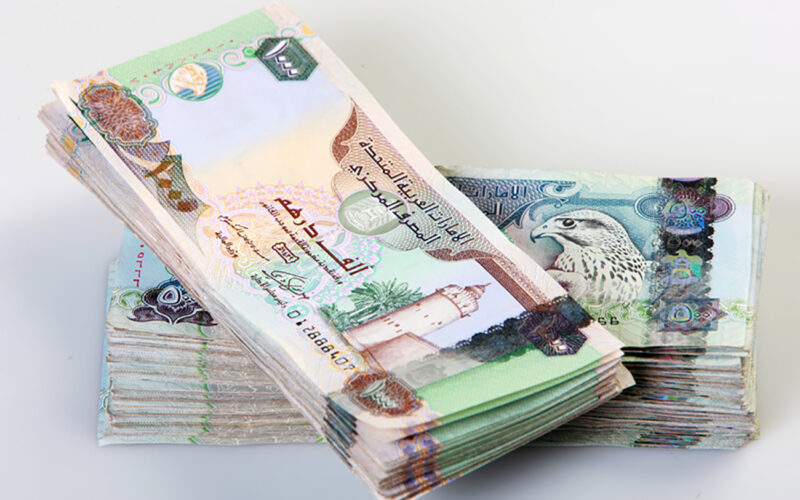 استقرار سعر الدرهم الإماراتي أمام الجنيه المصري اليوم الثلاثاء 18 نوفمبر 2025