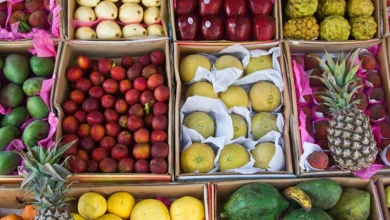 اسعار الفاكهة في سوق العبور