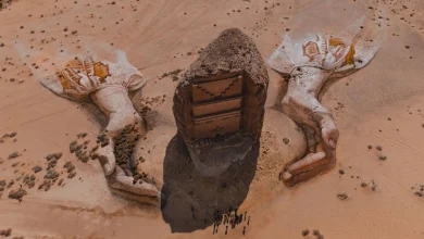 الهيئة الملكية لمحافظة العلا تطلق مشروع بحثي جديد متكامل