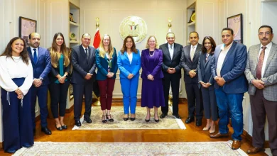 التنمية المحلية المصرية تنفذ 5900 مشروع لتنمية الصعيد