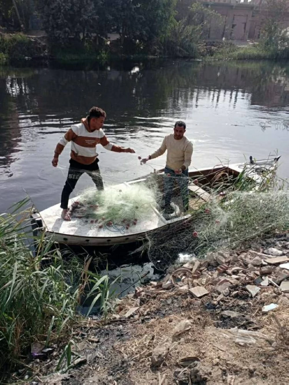خبراء البيئة يكشفون… تفاصيل رصد تماسيح النيل في الدلتا ويؤكدون استبعاد مرورها من السد العالي