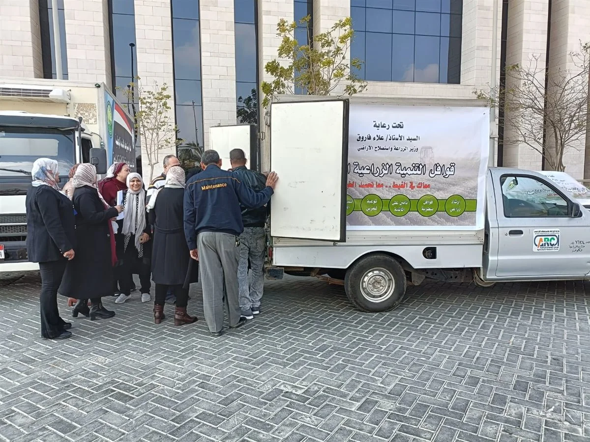 الزراعة تطلق منافذ متنقلة لبيع الدواجن والبيض بخصم 25% للعاملين بالعاصمة الإدارية