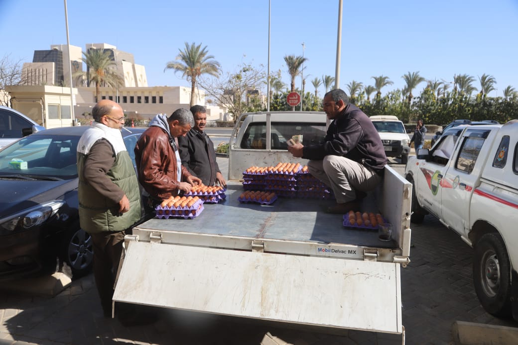 منافذ متنقلة لبيع الدواجن والبيض