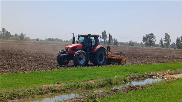 ارتفاع قياسي لصافي الدخل الزراعي في مصر خلال 2023-2024