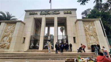 استمرار أعمال تطوير حديقتي الحيوان والأورمان بالجيزة استعدادًا لإعادتهما إلى سابق عهدهما