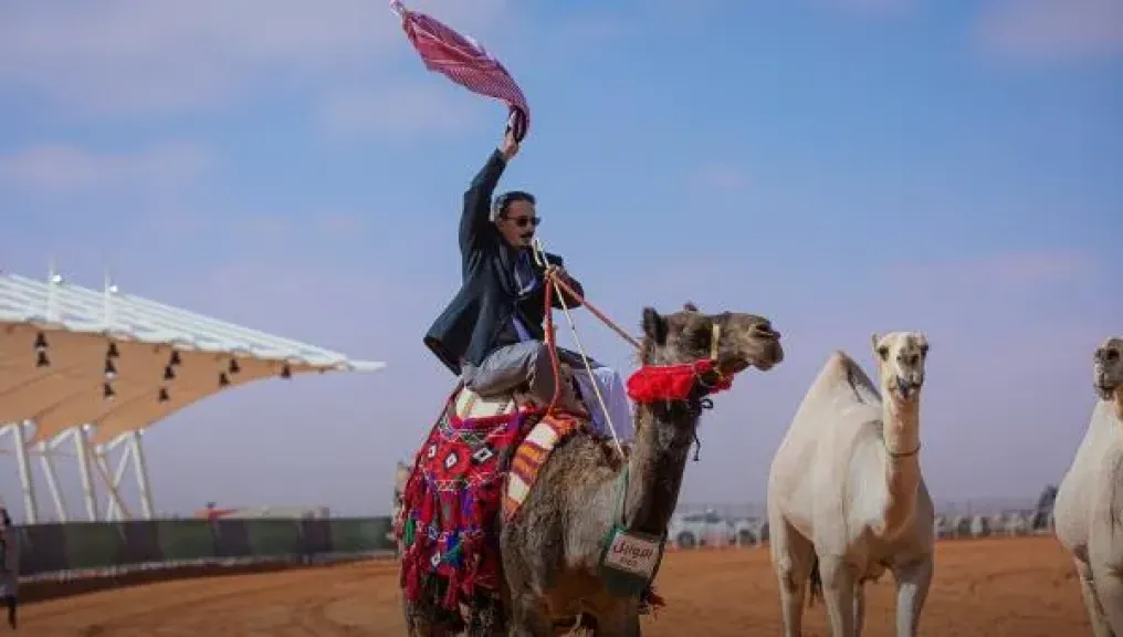 نادي الإبل يعاقب مشارك في مهرجان الملك عبدالعزيز للإبل بعقوبة مالية ومنع المشاركة خمس سنوات