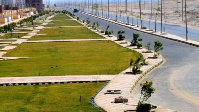 جهاز مدينة سفنكس الجديدة يسترد 188 فدانًا بالقطاع الأول غرب الطريق الصحراوي