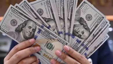 استقرار سعر الدولار أمام الجنيه المصري في مستهل تعاملات الأربعاء 24 ديسمبر 2025