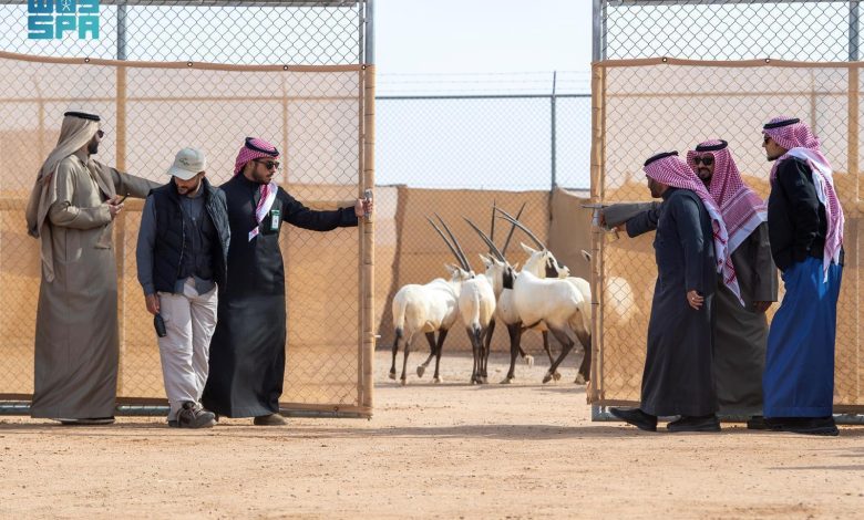 تصريحات مدير الإدارة العامة للمشاريع والتشغيل بالهيئة