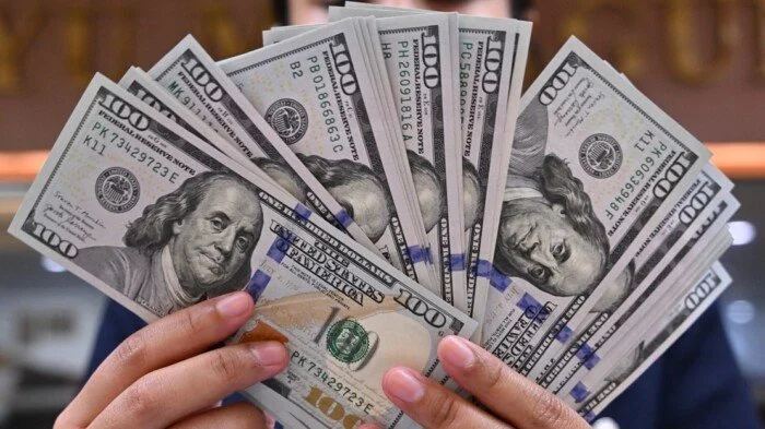 سعر الدولار اليوم السبت 3 يناير 2026 أمام الجنيه المصري