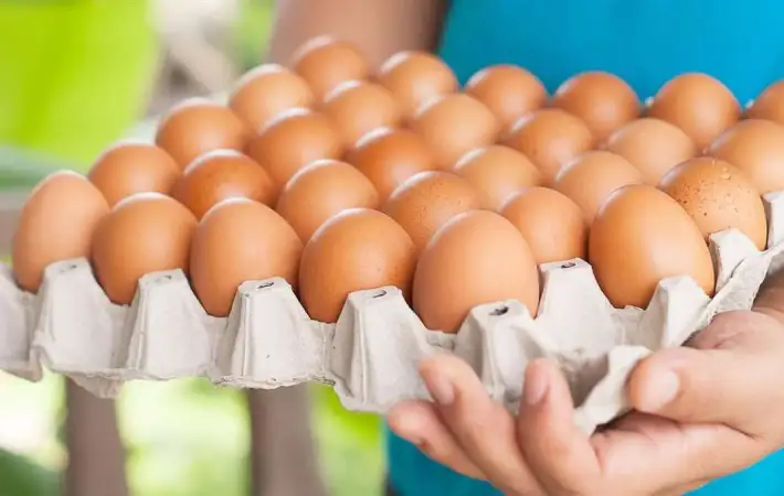 أسعار البيض في مصر اليوم الاثنين 22 ديسمبر 2025