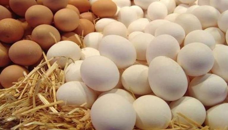 أسعار الدواجن والبيض