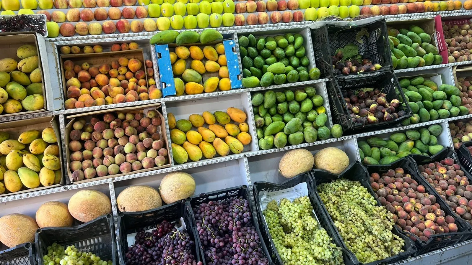 أسعار الخضراوات والفاكهة اليوم