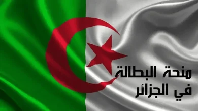 للتسجيل الصحيح.. تعرف على شروط الاستفادة من منحة البطالة الجزائرية