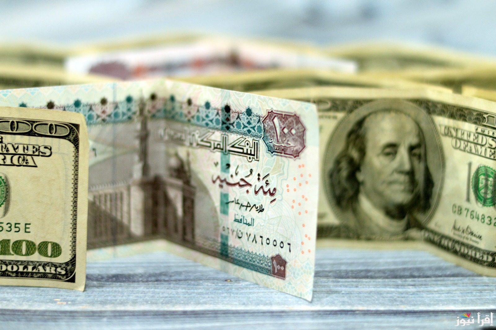  استقرار سعر الدولار اليوم أمام الجنيه المصري في البنوك مع ارتفاع الاحتياطي الأجنبي