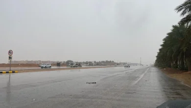 دخول المربعانية