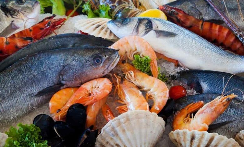 سعر السمك اليوم في سوق العبور.. تباين الأسعار بين البلطي والجمبري والمأكولات البحرية
