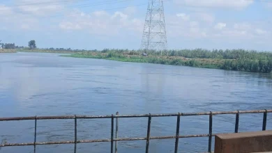 إجراءات حاسمة ضد التعديات على النيل وتصويب طرح النهر