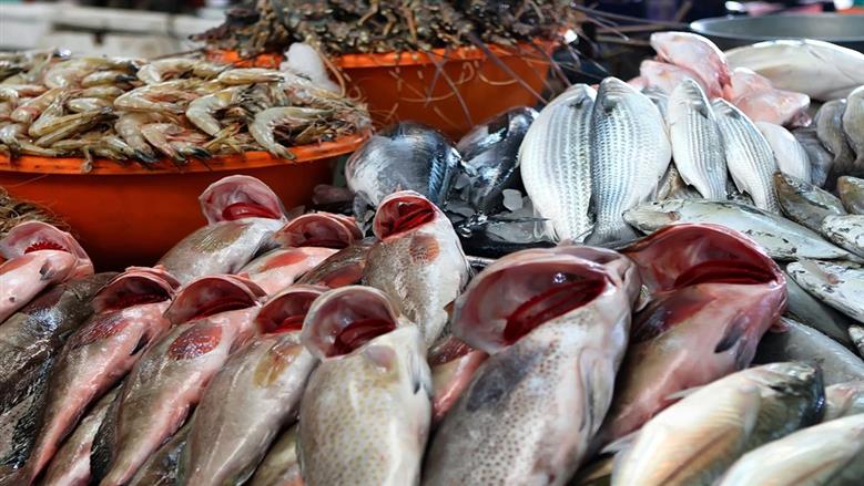 سعر السمك اليوم الجمعة 9 يناير 2026 بسوق العبور للجملة