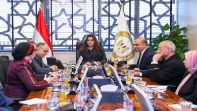 وزيرة التنمية المحلية توجه بتحديد مصادر تلوث الهواء بدقة