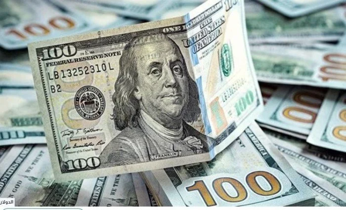 استقرار سعر الدولار أمام الجنيه المصري اليوم الأحد 11 يناير 2026 في البنوك