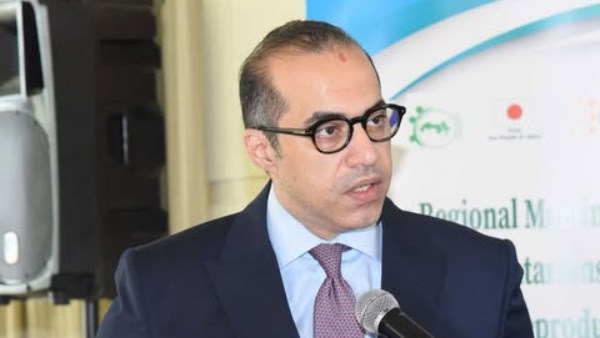 المستشار محمود فوزي