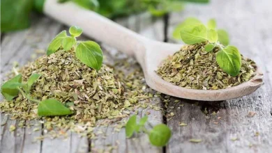 زراعة المرمرية في مصر