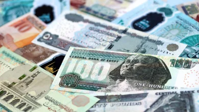 شركات قطاع الأعمال العام