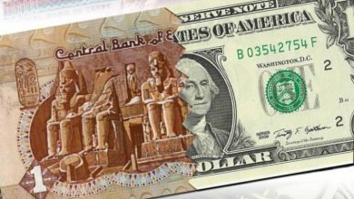 أسعار العملات في البنك الأهلي المصري اليوم