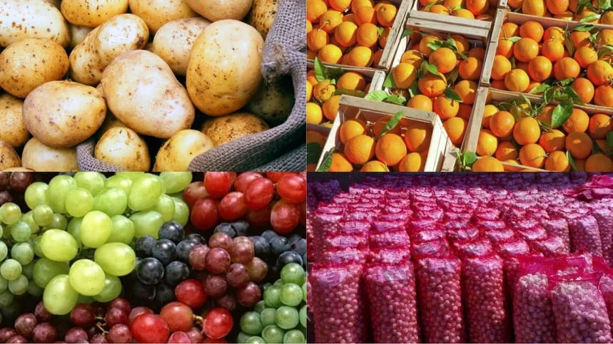 السعودية والسودان يتصدران أسواق الصادرات الغذائية بـ220 ألف طن أسبوعيًا