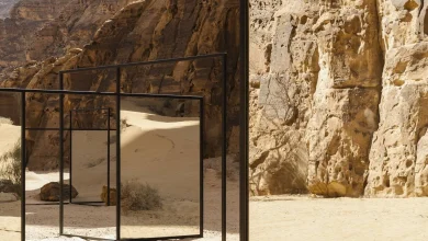 الهيئة الملكية تكشف عن أحافير سرطانات عمرها