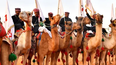 مهرجان الملك عبدالعزيز للإبل