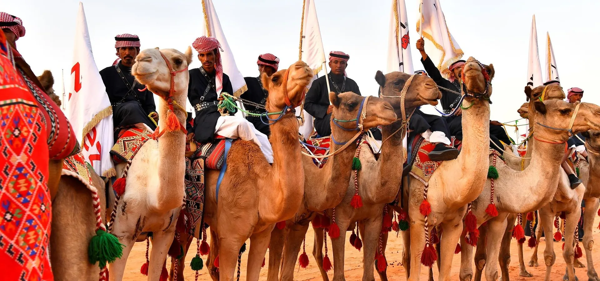 مهرجان الملك عبدالعزيز للإبل