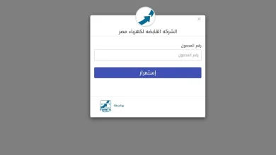 تسديد فاتورة الكهرباء